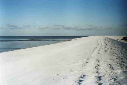 Ferienhaus Deichblick
