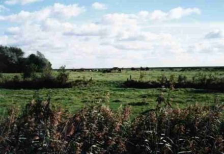 Ferienhaus Deichblick