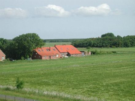 Ferienhaus Deichblick