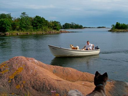 Haus Törnrosa direkt am Meer mit Boot und Sauna