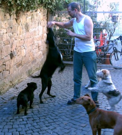 Hundepension Wawerzinek