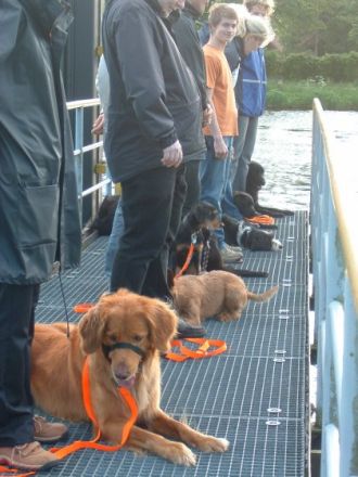 Team Dog Lingen Hundeausbildungszentrum