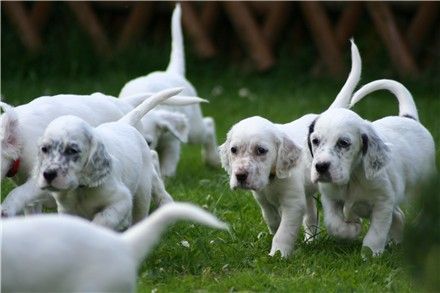 Inheritance of Grace