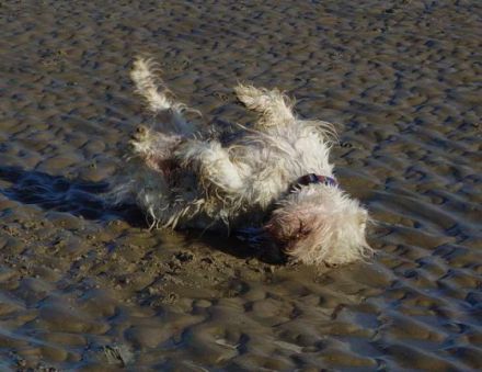 Ferienwohnungen Ufer