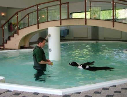 Pfötchen-Schule   Hilden - Jade - Resort Berlin