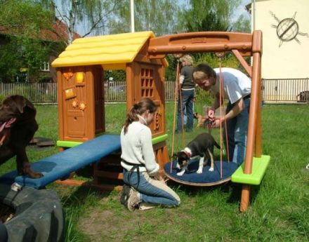 Pfötchen-Schule   Hilden - Jade - Resort Berlin