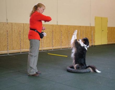 Pfötchen-Schule   Hilden - Jade - Resort Berlin