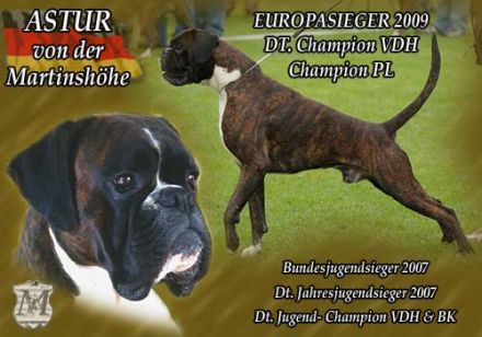 von der Martinshöhe