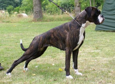 von der Martinshöhe