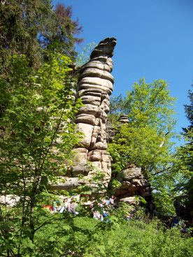 am Weissenstädter See im Fichtelgebirge