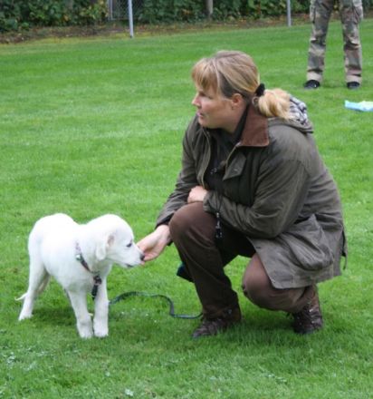 Hundeschule Stuttgart