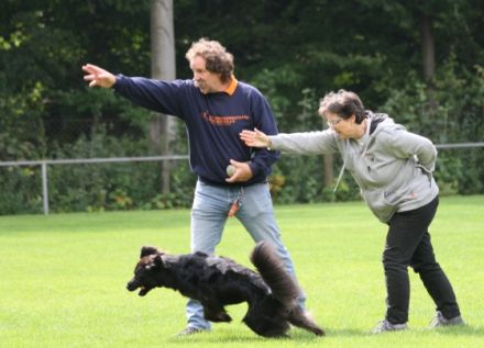 Hundeschule Stuttgart