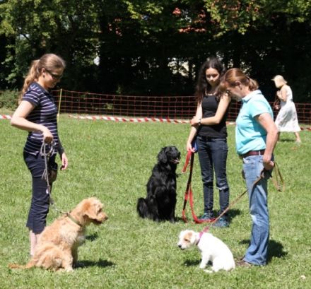 Hundeschule Stuttgart
