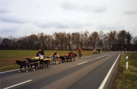 Begleit- und Zughundeverein Berlin e.V.