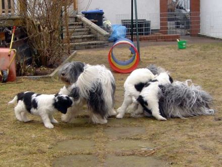 von der Bismarckwarte