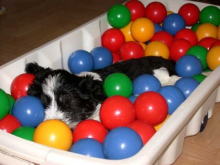 von der Bismarckwarte