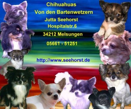 Von den Bartenwetzern