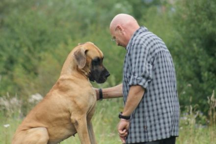 Hundeschule Altmühltal