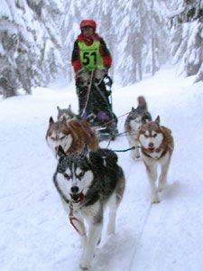 of Fantastic Snowdevils