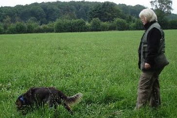 JaVerBe-Hundehaltertraining