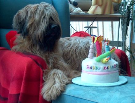 de l´avenue D´Artagnon