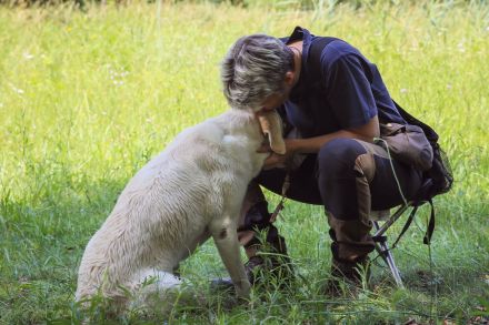 hundecouch sehen-verstehen-handeln