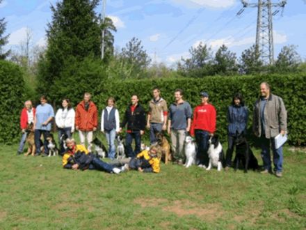 Verein für Deutsche Schäferhunde OG Darmstadt