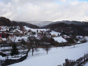 Ferienwohnung Hundeurlaub in Trusetal