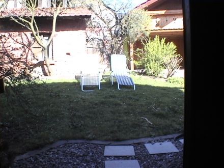 Ferienwohnung Hundeurlaub in Trusetal