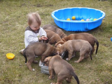 von der Burgenstraße