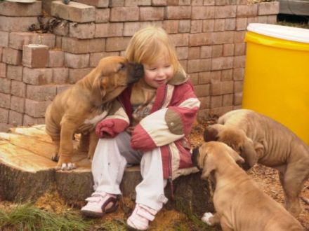 von der Burgenstraße