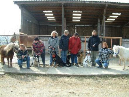 Braunfelser Hundeschule