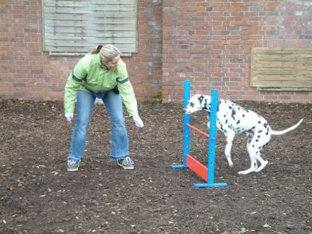 Braunfelser Hundeschule