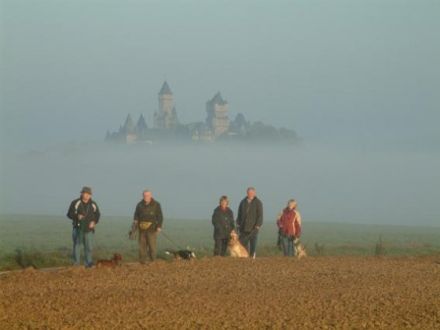Braunfelser Hundeschule