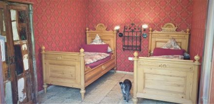 Hundeparadies in St. Peter-Ording