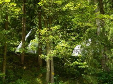 Zimmersachers Waldoase