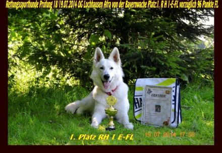 Hundeakademie  Bayern Süd mit staatl. Zulassung