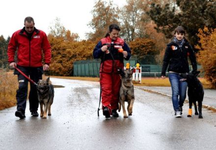 Hundeakademie  Bayern Süd mit staatl. Zulassung