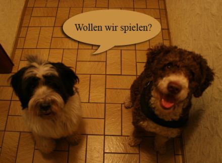 Birgit`s Hundepension