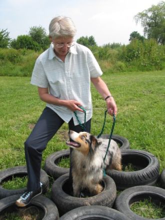 Beratung u. Training Mensch u. Hund