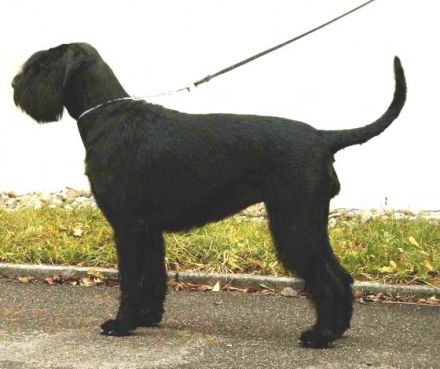 Von der Geistermühle