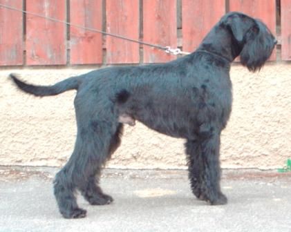 Von der Geistermühle