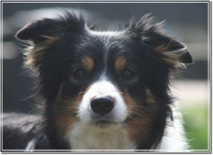 from Spirit of the Highland