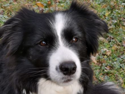 from Spirit of the Highland