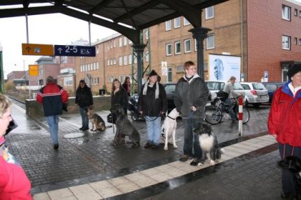 K.S.I.Trainingszentrum"vom schwarzen Drago",Gießen