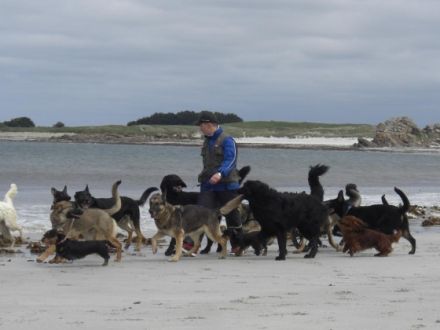 K.S.I.Trainingszentrum"vom schwarzen Drago",Gießen