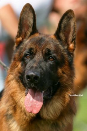 vom Beyenburger Stausee