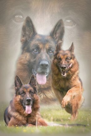 vom Beyenburger Stausee