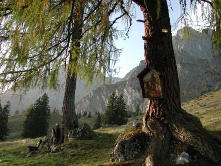 Berghotel Arthurhaus