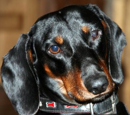 Berghotel Arthurhaus